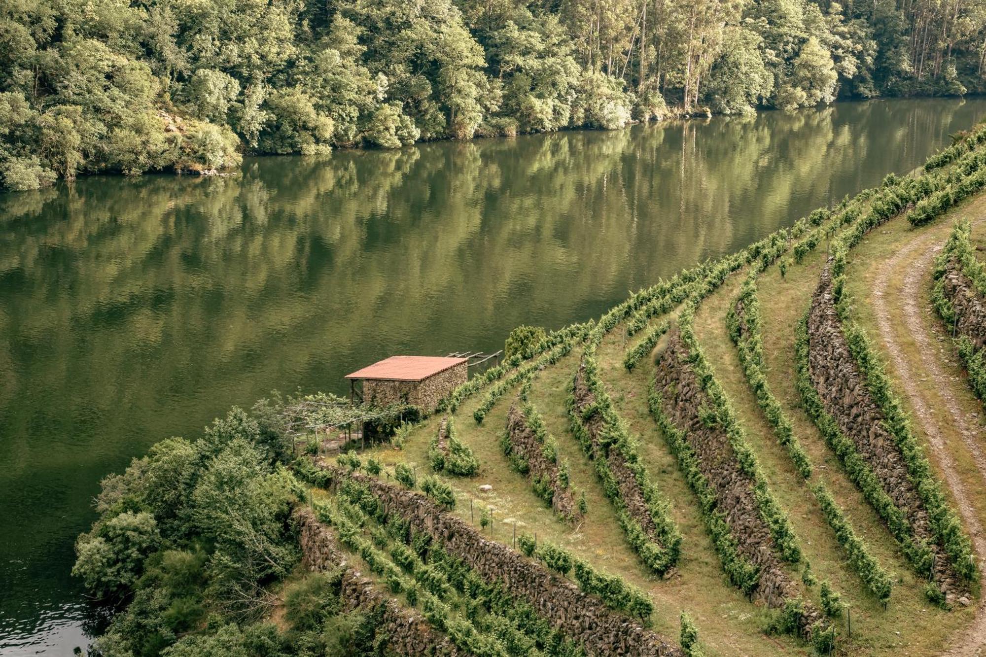 Pensjonat Casinas Do Sil Cristosende Zewnętrze zdjęcie
